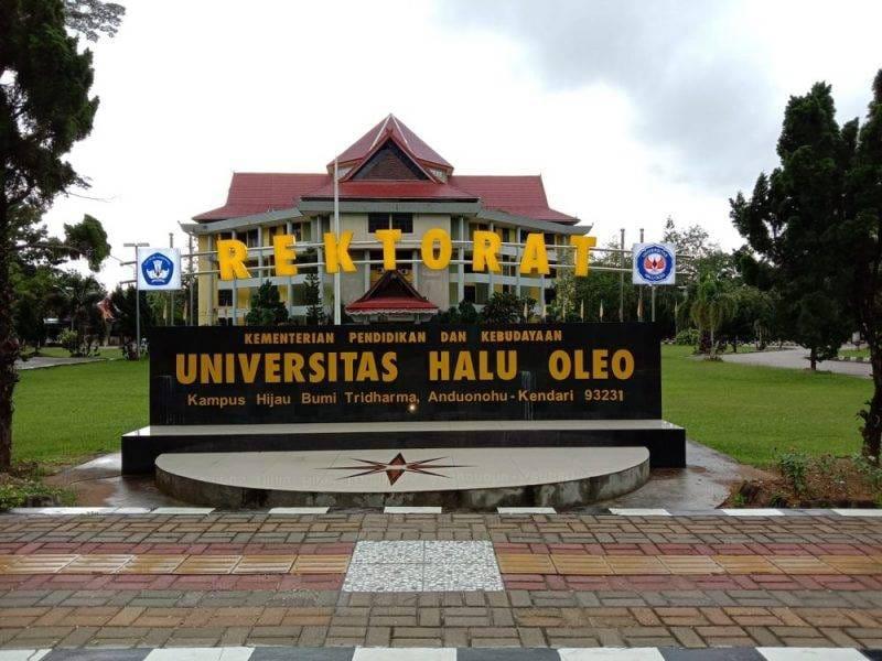 Pilrek UHO, Dugaan Suap, Cawe-cawe Rektor UHO dan Gubernur Sultra