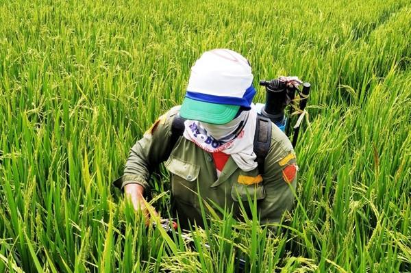 Waspada Ancaman Krisis Pangan Global, legislator Ingatkan Dampak Perang Iran-Israel terhadap Sektor Pertanian
